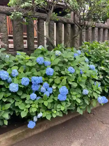 白山神社の庭園