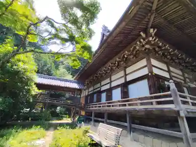 金剛城寺(兵庫県)