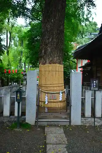 田無神社(東京都)