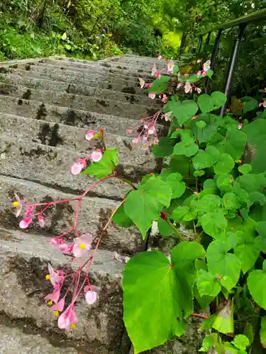 石都々古和気神社(福島県)