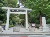 阿佐ヶ谷神明宮の鳥居