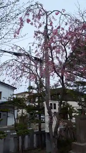 烈々布神社の自然