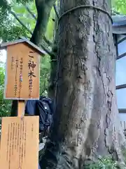 川越氷川神社の自然