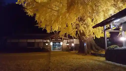 丹生酒殿神社の自然