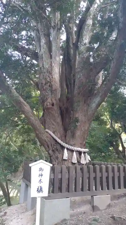 安房神社(千葉県)