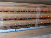 気比神社の{uncategorized: "未分類", other: "その他", undefined: "問題あり", building: "その他建物", grave: "お墓", sacred_gate: "鳥居", guardian: "狛犬", statue: "像", buddha: "仏像", history: "歴史", nature: "自然", garden: "庭園", animal: "動物", pagoda: "塔", temizu: "手水舎", mountain_gate: "山門・神門", sanctuary: "本殿・本堂", subordinate: "末社・摂社", art: "芸術", scenery: "景色", jizo: "地蔵", ema: "絵馬", goshuin: "御朱印", omikuji: "おみくじ", items: "授与品その他", amulet: "お守り", goshuincho: "御朱印帳", eats: "食事", festival: "お祭り", votive_dance: "神楽", shichigosan: "七五三参", wedding: "結婚式", experience: "体験その他", initially: "初詣", around: "周辺", anti_infection: "感染症対策"}