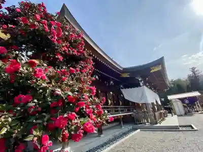 大神神社(奈良県)
