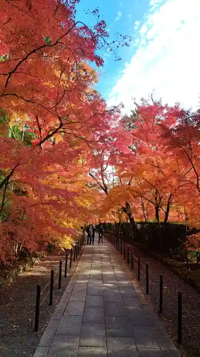 光明寺(粟生光明寺)(京都府)