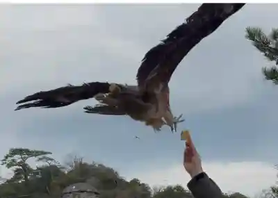 恵比須神社の{uncategorized: "未分類", other: "その他", undefined: "問題あり", building: "その他建物", grave: "お墓", sacred_gate: "鳥居", guardian: "狛犬", statue: "像", buddha: "仏像", history: "歴史", nature: "自然", garden: "庭園", animal: "動物", pagoda: "塔", temizu: "手水舎", mountain_gate: "山門・神門", sanctuary: "本殿・本堂", subordinate: "末社・摂社", art: "芸術", scenery: "景色", jizo: "地蔵", ema: "絵馬", goshuin: "御朱印", omikuji: "おみくじ", items: "授与品その他", amulet: "お守り", goshuincho: "御朱印帳", eats: "食事", festival: "お祭り", votive_dance: "神楽", shichigosan: "七五三参", wedding: "結婚式", experience: "体験その他", initially: "初詣", around: "周辺", anti_infection: "感染症対策"}