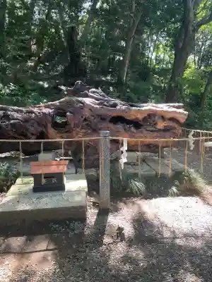 泉神社(茨城県)