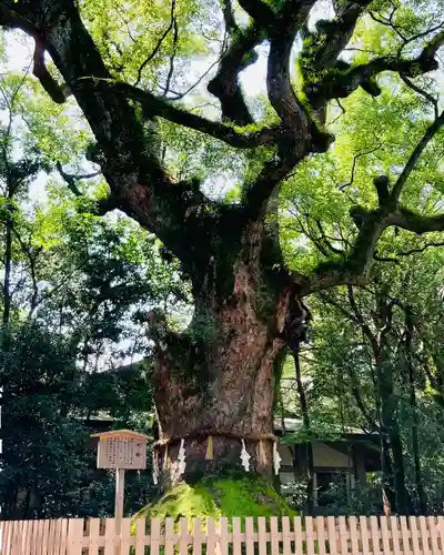 熱田神宮の自然
