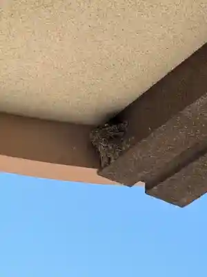 防府天満宮(山口県)