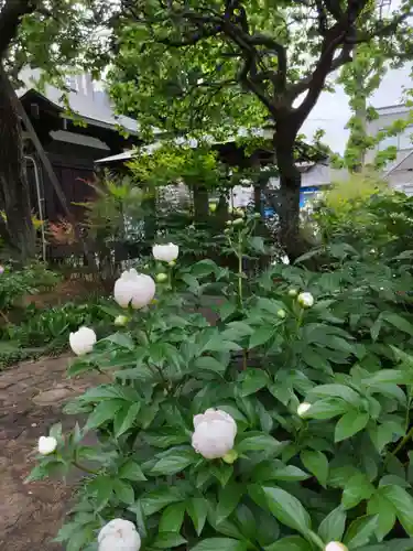 清泰寺の庭園