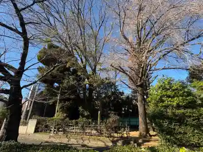稲荷神社(東京都)