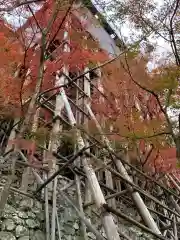 清水寺の本殿