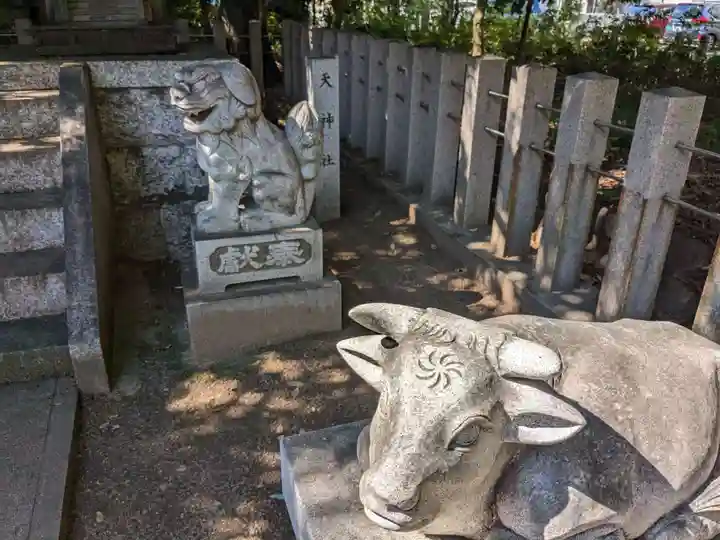 八幡社(柏井町)の狛犬