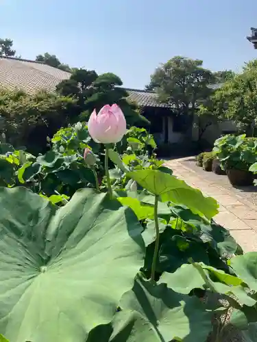 要法寺(神奈川県)