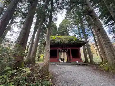 戸隠神社奥社(長野県)