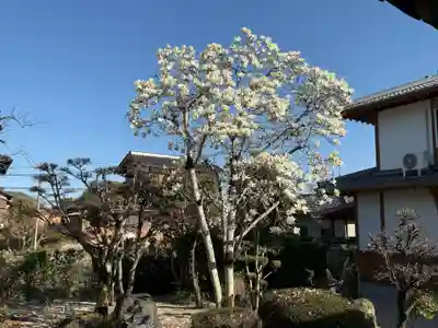 美奈宜神社(福岡県)
