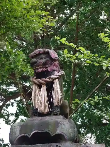 駛馬天満宮の狛犬