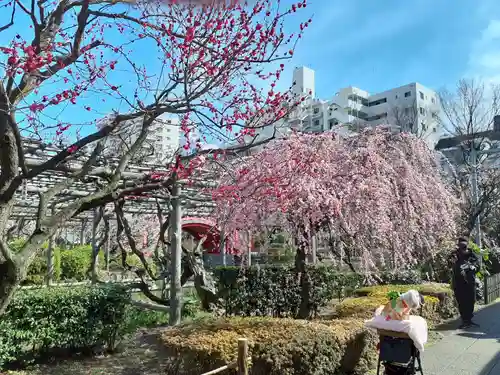 亀戸天神社の庭園