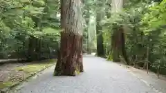 瀧原宮(皇大神宮別宮)の建物その他