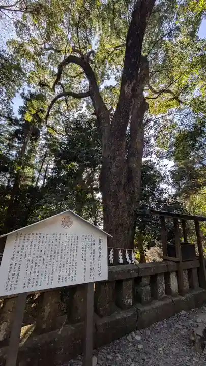 久能山東照宮(静岡県)