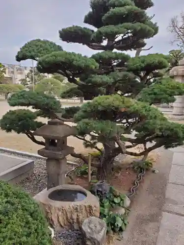 真光寺の庭園