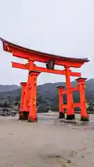 厳島神社(広島県)