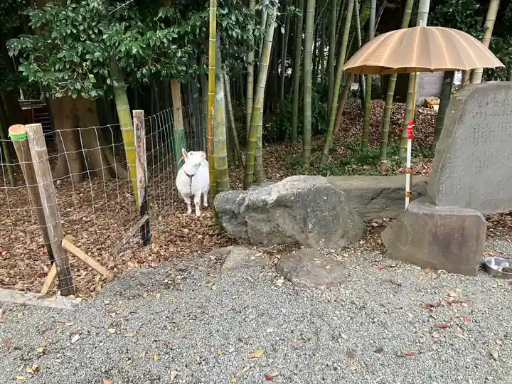 出雲大社相模分祠のその他建物