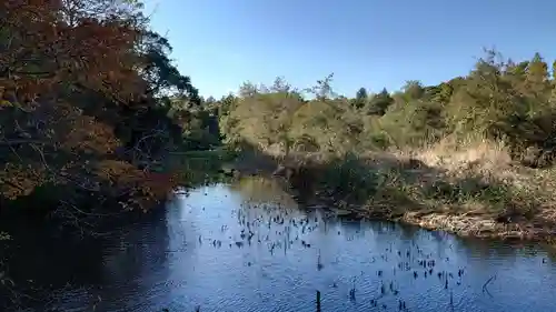 石神井氷川神社の周辺