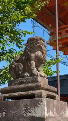八坂神社(祇園さん)の狛犬