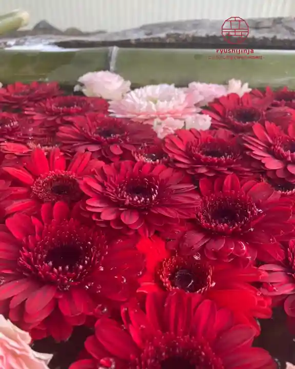 立志神社(滋賀県)