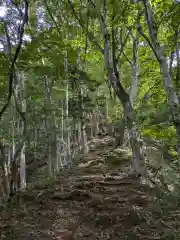 迦葉山龍華院弥勒護国禅寺（弥勒寺）奥の院の自然