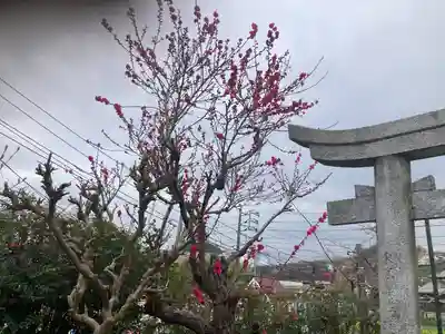 横浜御嶽神社(神奈川県)