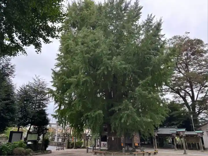 今宮神社(栃木県)