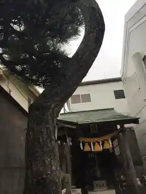 中海岸神社の本殿・本堂