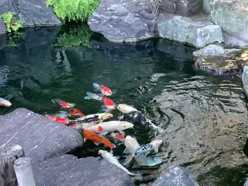 甚行寺(神奈川県)