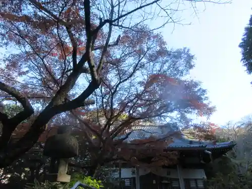 安國論寺（安国論寺）の景色