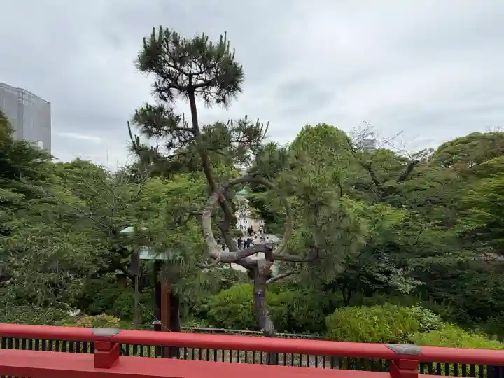 清水観音堂の{uncategorized: "未分類", other: "その他", undefined: "問題あり", building: "その他建物", grave: "お墓", sacred_gate: "鳥居", guardian: "狛犬", statue: "像", buddha: "仏像", history: "歴史", nature: "自然", garden: "庭園", animal: "動物", pagoda: "塔", temizu: "手水舎", mountain_gate: "山門・神門", sanctuary: "本殿・本堂", subordinate: "末社・摂社", art: "芸術", scenery: "景色", jizo: "地蔵", ema: "絵馬", goshuin: "御朱印", omikuji: "おみくじ", items: "授与品その他", amulet: "お守り", goshuincho: "御朱印帳", eats: "食事", festival: "お祭り", votive_dance: "神楽", shichigosan: "七五三参", wedding: "結婚式", experience: "体験その他", initially: "初詣", around: "周辺", anti_infection: "感染症対策"}