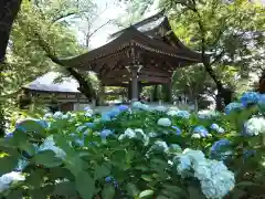 妙楽寺(神奈川県)