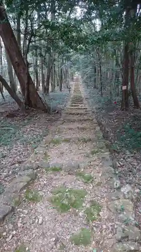 伊波乃西神社の自然