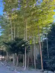 武州柿生琴平神社(神奈川県)