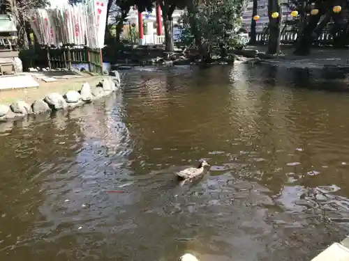 平塚八幡宮(神奈川県)