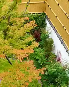 寿量山 速成寺の自然(2020年09月16日(水) 13時18分31秒投稿)