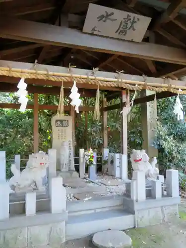 愛知縣護國神社の狛犬