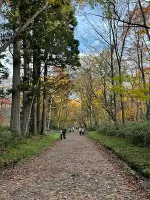 戸隠神社九頭龍社(長野県)