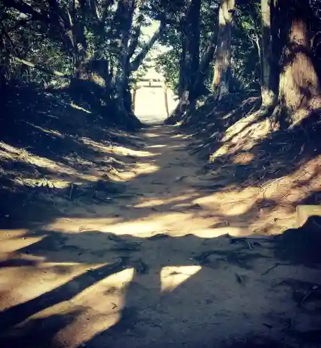 塩釜神社の自然