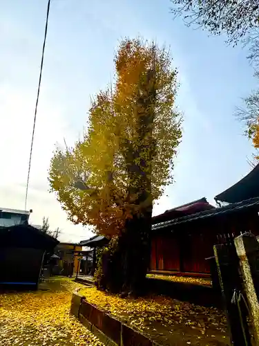 宇賀神社(京都府)