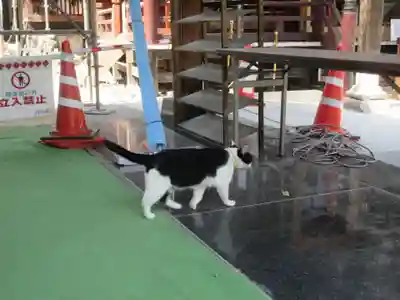 榛名神社の動物